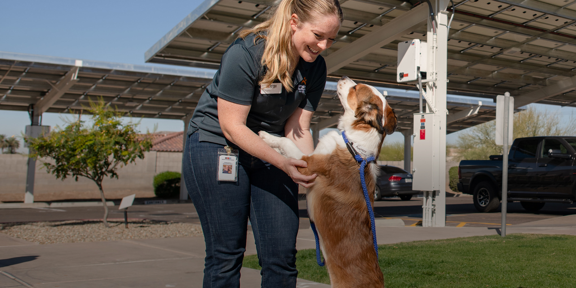 <div style="text-align: center;">Arizona Humane Society</div>