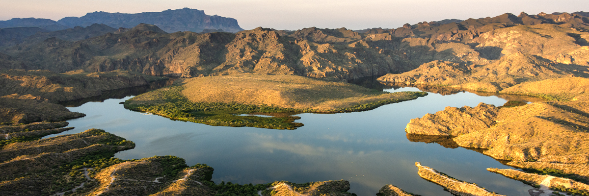 <div class="mb-4">
<h3 class="text-white text-center">Saguaro Lake</h3>
<a class="btn btn-primary text-center" title="learn more about Saguaro Lake" href="https://www.srpnet.com/grid-water-management/water-management/lakes/stewart-mountain-dam-saguaro-lake">Learn more</a></div>